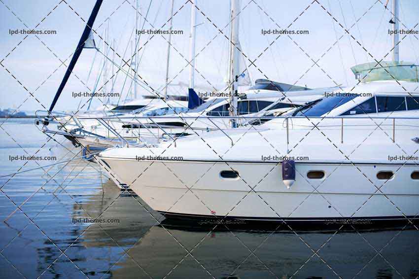 The Moored Yachts