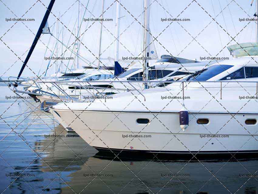 The Moored Yachts