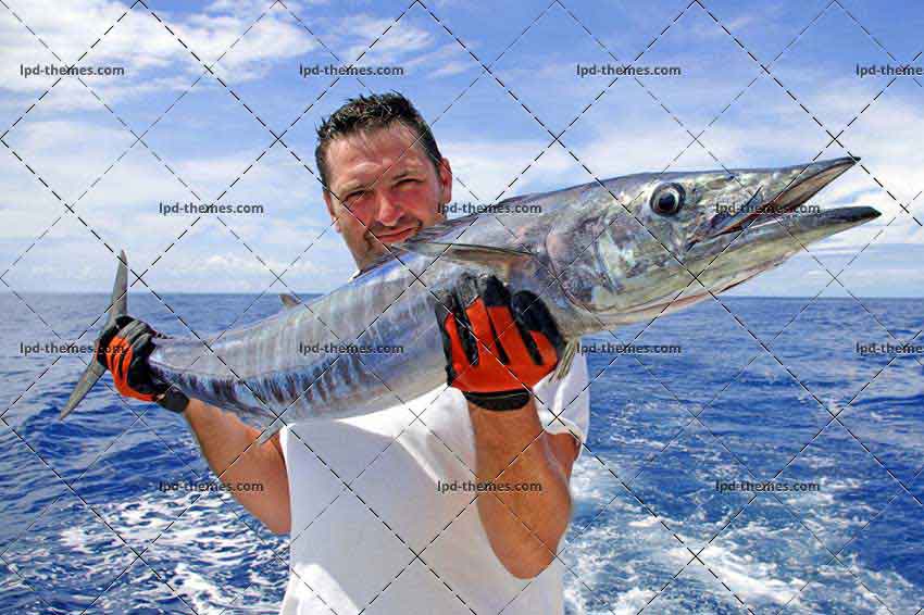 Deep Sea Fishing