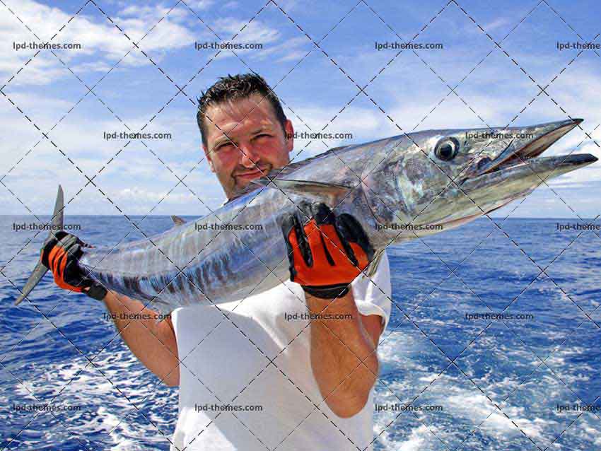 Deep Sea Fishing