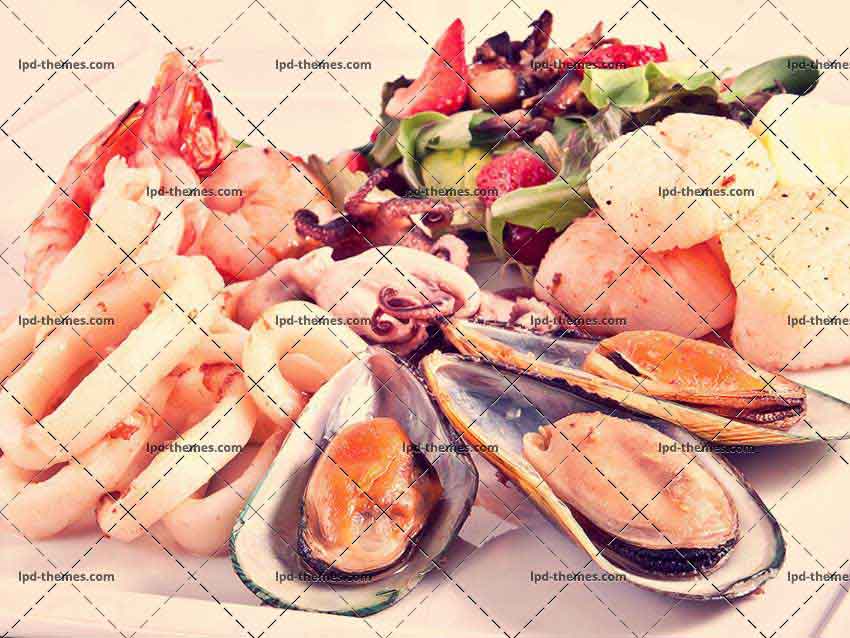 Seafood And Salad